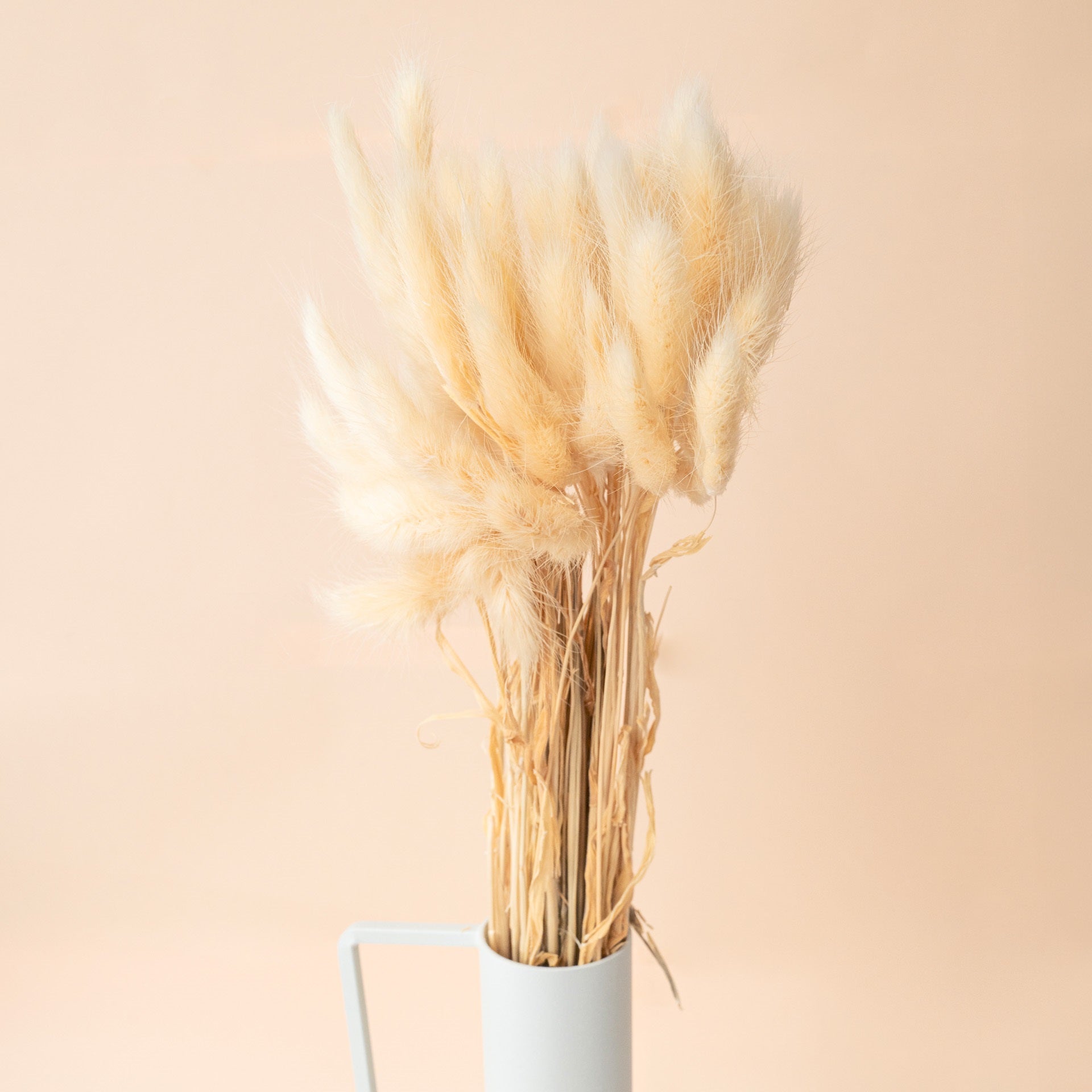 Geschenkbox Blumengruß mit Kanne