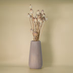 Trockenblumen Mohn mit Vase Vio