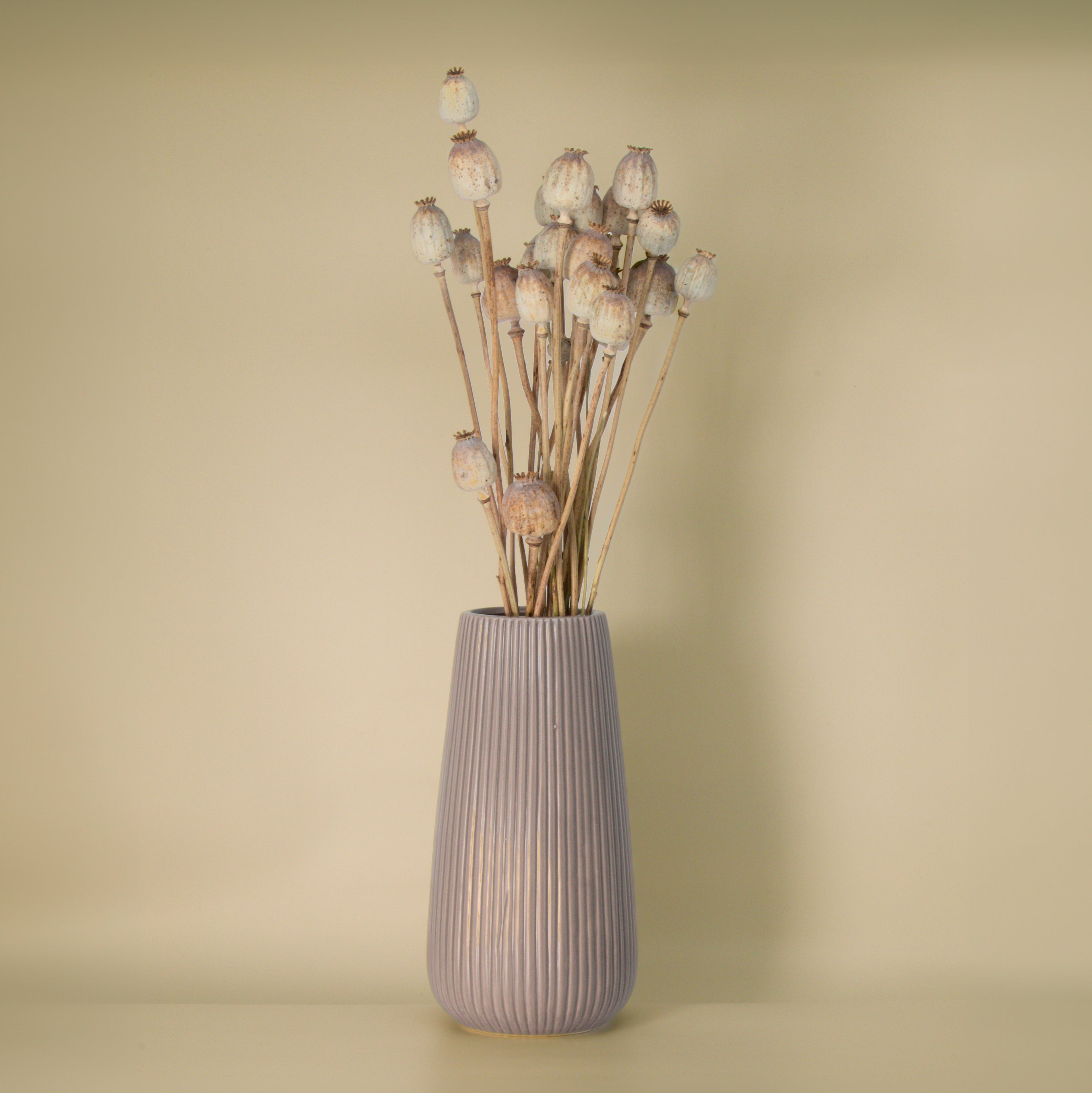 Trockenblumen Mohn mit Vase Vio
